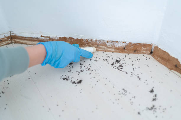 Westmorland, CA Pest Control Company